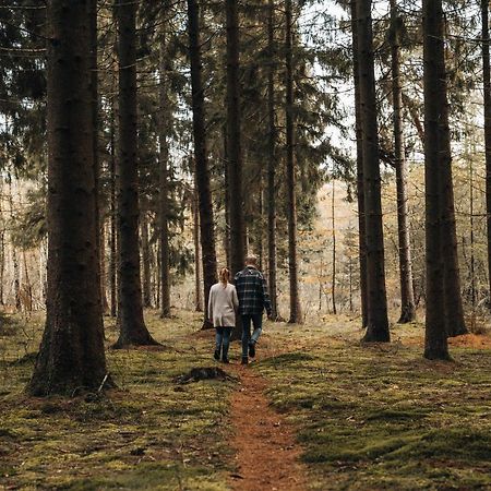 4P Chalet Tolve Met 4 Fietsen Vlakbij Natuurgebieden Drents Friese Wold, Fochteloerveen En Gevangenisdorp Veenhuizen Oosterwolde  Exteriér fotografie