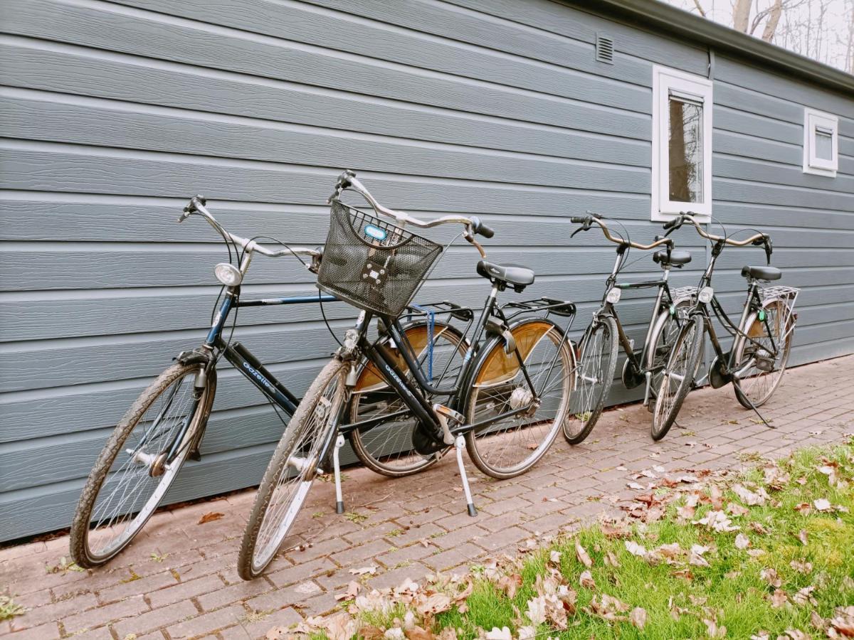 4P Chalet Tolve Met 4 Fietsen Vlakbij Natuurgebieden Drents Friese Wold, Fochteloerveen En Gevangenisdorp Veenhuizen Oosterwolde  Exteriér fotografie