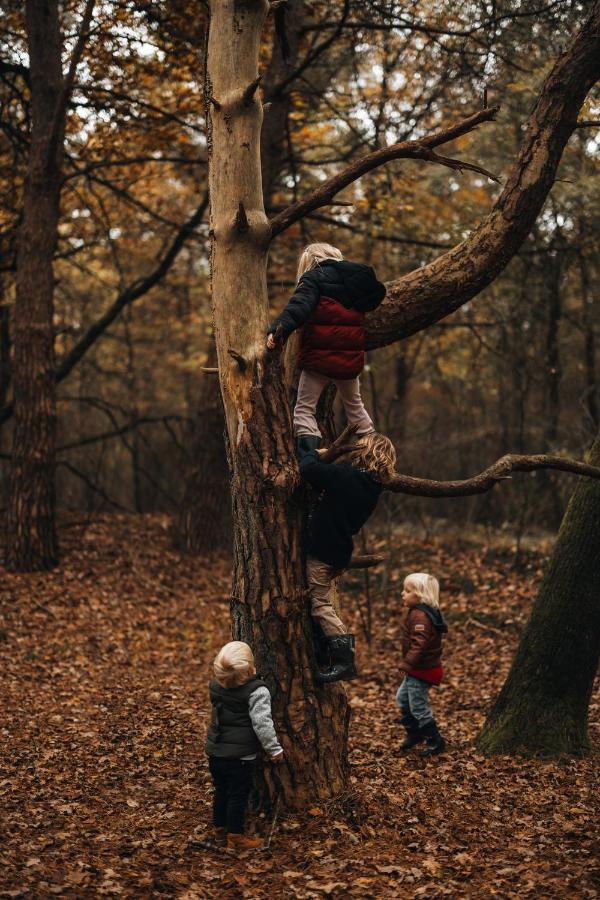 4P Chalet Tolve Met 4 Fietsen Vlakbij Natuurgebieden Drents Friese Wold, Fochteloerveen En Gevangenisdorp Veenhuizen Oosterwolde  Exteriér fotografie