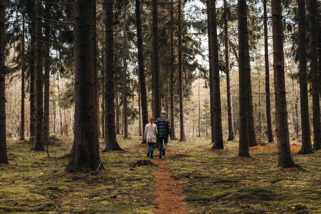 4P Chalet Tolve Met 4 Fietsen Vlakbij Natuurgebieden Drents Friese Wold, Fochteloerveen En Gevangenisdorp Veenhuizen Oosterwolde  Exteriér fotografie