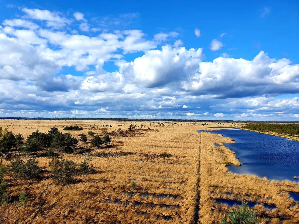 4P Chalet Tolve Met 4 Fietsen Vlakbij Natuurgebieden Drents Friese Wold, Fochteloerveen En Gevangenisdorp Veenhuizen Oosterwolde  Exteriér fotografie